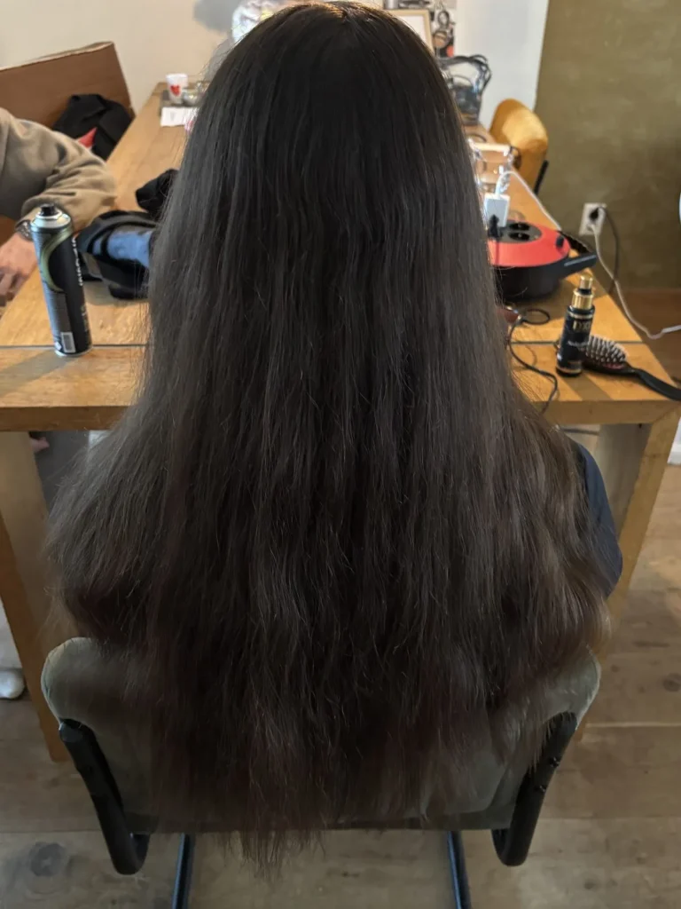 Dof en droog donkerbruin haar voor de glossing